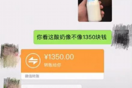 湛江专业要账公司